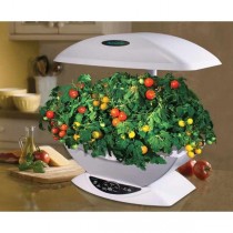 Aerogarden