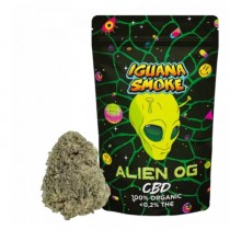 Alien OG CBD 2gr - Iguana Smoke