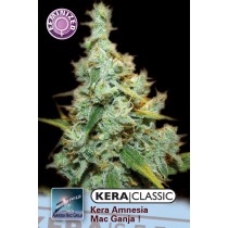 Amnesia Mac Ganja – Kera Seeds