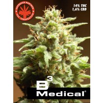 B3 Medical – Pure Seeds