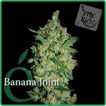 Banana Joint – Elite Seeds