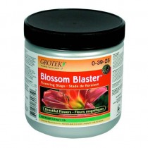 Blossom Blaster - Grotek