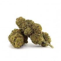 Blue Mango - Cogollos de 30% 10-OH - 1gr