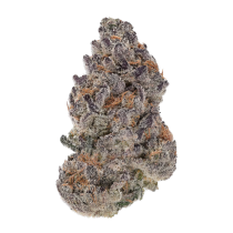 Bob 87 – Purple City Genetics - 10 Semillas Feminizadas