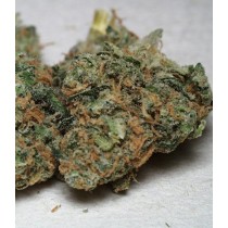 California Special – K.C. Brains