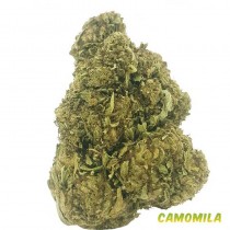 Flor de Camomila CBD - 2 Gramos