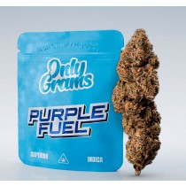 Flor 40% Superior - Purple Fuel (Índica) 3,5gr - OnlyGrams