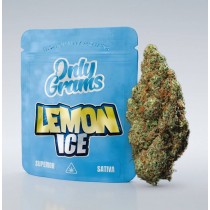 Flor 40% Superior - Lemon Ice (Sativa) 3,5gr - OnlyGrams