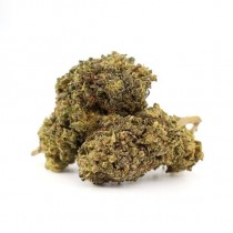 Hemp Flower Gorilla Cookies 1g – 50% Magic Sauce