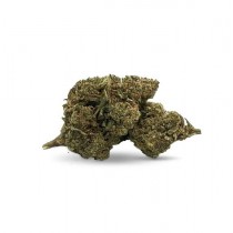 Mimosa - Cogollos de 30% 10-OH - 1gr