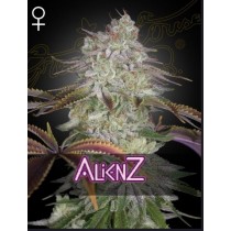 AlienZ - Green House Seeds