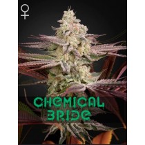 Chemical Bride - Green House Seeds