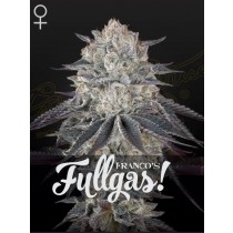 Franco's Fullgas! - Green House Seeds