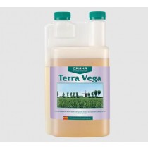 Canna Terra Vega