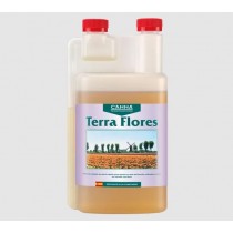 Terra flores canna
