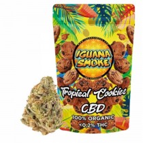 Tropical Cookies CBD 2gr - Iguana Smoke