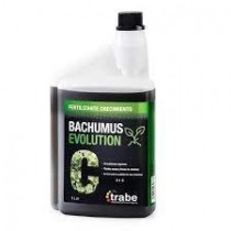 Bachumus Evolution-C Trabe