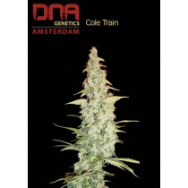 Cole Train - DNA
