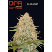 LA Chocolat - DNA