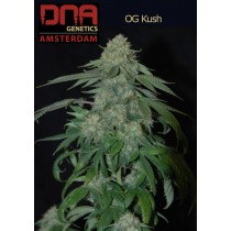 OG Kush - DNA