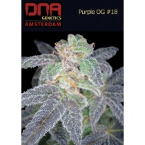 Purple OG #18 - DNA