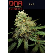 R.K.S - DNA