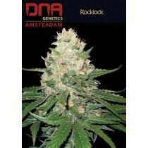 Rocklock - DNA