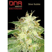 Silver Bubble - DNA