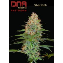 Silver Kush - DNA