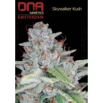 Skywalker Kush - DNA