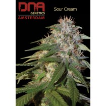 Sour Cream - DNA