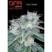 Sour Diesel - DNA