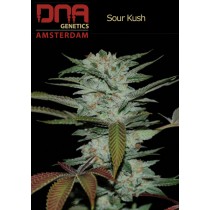 Sour Kush - DNA