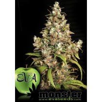 Monster - Eva Seeds