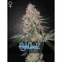 HighCloudZ - Green House Seeds