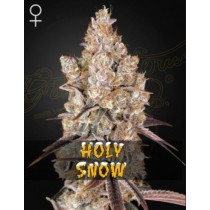 Holy Snow - Green House Seeds