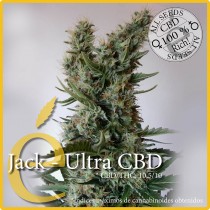 Jack - Ultra CBD - Elite Seeds