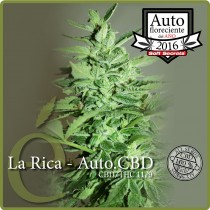 La Rica Auto CBD - Elite Seeds