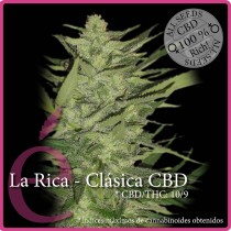 La Rica Clasica CBD – Elite Seeds