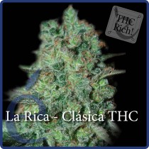 La Rica Clasica THC – Elite Seeds