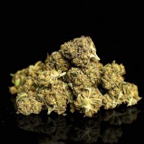 Flor de CBD Lemon Haze Small Buds 5gr – Selected