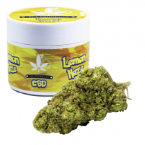 Lemon Haze Flores de CBD - Bee Products