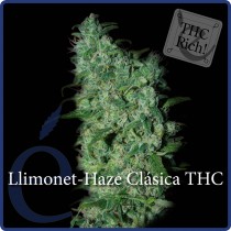 Llimonet Haze Clasica THC - Elite Seeds