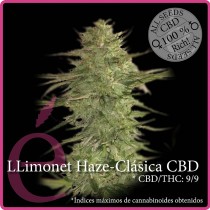 Llimonet Haze Clasica CBD - Elite Seeds