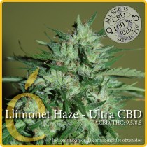 Llimonet Haze Ultra CBD - Elite Seeds