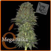 Meganuska – Elite Seeds