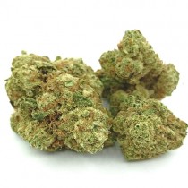 Cogollos de Flor de CBD al 14% - Camomila Indoor - 2gr