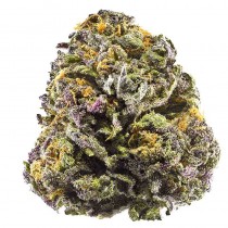 OG Daddy Purple - Houseplant Seeds - 22% THC
