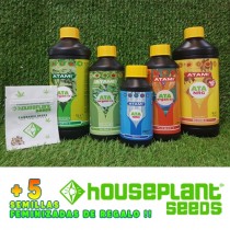Comprar Pack Atami + 5 Semillas Houseplant Seeds 
