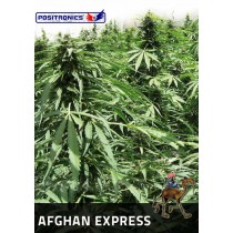 Afgan Express - Positronics